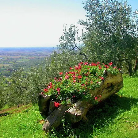 Lovely In With Pool And Stunning Views * Cortona