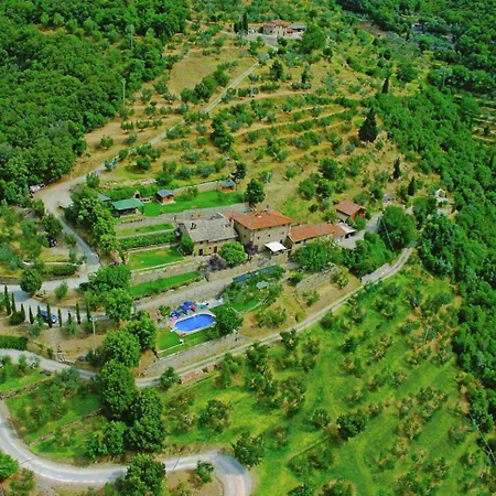 Holiday home Lovely In With Pool And Stunning Views Cortona
